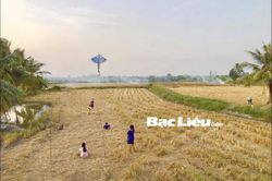 Ký ức mùa hè ở miền Tây