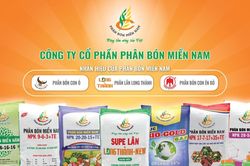 Chuyển đổi xanh: Đích đến bền vững của Phân bón Miền Nam
