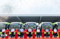 Thành phố Hồ Chí Minh có thêm nhiều tuyến xe buýt sử dụng xe điện