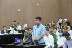 Chủ tịch Phúc Sơn xin bán 196 bìa đỏ, kê khai 501 cây vàng để khắc phục thiệt hại