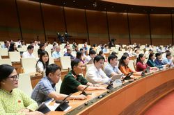 Ngày 25/6, Quốc hội biểu quyết thông qua Luật Đấu thầu sửa đổi