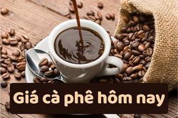 Giá cà phê hôm nay 25/6/2025: Tăng mạnh trở lại