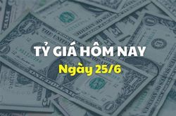 Tỷ giá hôm nay 25/6: Giá USD giảm nhẹ, NDT tiếp đà tăng