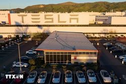 Doanh số Tesla tại châu Âu giảm dù thị trường xe điện phục hồi