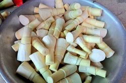 Vào mùa măng le xứ núi