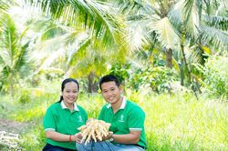 Sokfarm và hành trình 'gieo mật' từ hoa dừa: Khởi nghiệp xanh bắt đầu từ điều gần gũi nhất