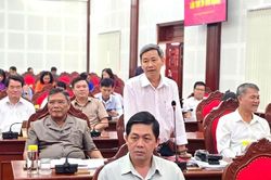 Bí thư Thị ủy giải trình việc phường chặt cây xanh trước ngày sáp nhập