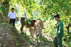 Hiệu quả từ các chương trình, chính sách hợp lòng dân