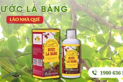 Nước Lá Bàng Lão Nhà Quê - giải pháp hỗ trợ ngừa vi khuẩn từ dược liệu dân dã
