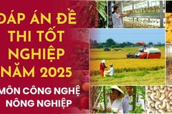Đáp án môn Công nghệ mã đề 0701 thi tốt nghiệp THPT 2025