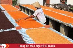 Đặc sắc nghề làm muối ớt Tây Ninh - di sản Văn hóa Phi vật thể Quốc gia