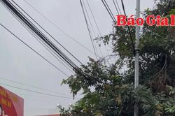 Cổng trường mùa thi tháng 6 đong đầy cảm xúc