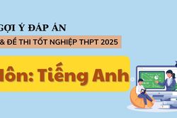 Đáp án đề thi môn tiếng Anh tốt nghiệp THPT năm 2025 tất cả mã đề