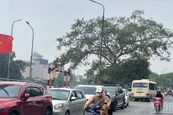 Thời tiết ngày 28/6: Bắc Bộ có mưa rào và dông