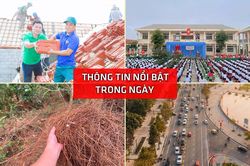 Nghệ An: Thông tin nổi bật ngày 28/6