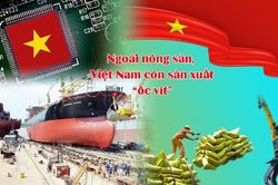 Việt Nam – Hình mẫu của hòa bình & phát triển bền vững