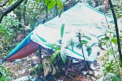 Bảo Lộc: Phát hiện người đàn ông đi hái lan rừng tử vong trong rừng sâu