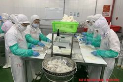 Phát triển bền vững nghề chế biến thủy, hải sản