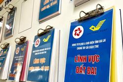 Gia Lai bố trí lại hơn 179,5 tỷ đồng từ nguồn sử dụng đất cho dự án hồ sơ địa chính