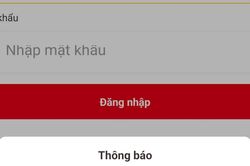 Người dân 'đổ xô' xem quê quán thay đổi khiến ứng dụng VNeID 'bị treo'