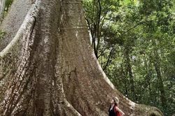 Hè về đến Nam Cát Tiên, trú nắng dưới tán rừng xanh mát