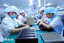 ASEAN thúc đẩy bình đẳng giới trong kinh doanh và nhân quyền