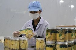 Sầu riêng sấy thăng hoa: Định hình hướng đi mới cho nông sản Gia Lai