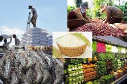 Bộ Nông nghiệp và Môi trường ban hành kế hoạch thực hiện mục tiêu xuất khẩu đạt 65 tỷ USD