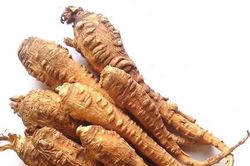 Thu hồi lô Bạch chỉ kém chất lượng tại 2 cơ sở ở Hà Nội