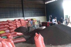 Giá tiêu hôm nay 1/7/2025: Tăng giá cực mạnh