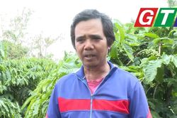 Người nông dân Jrai chạm tới 'quả ngọt' từ đôi tay cần mẫn