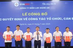 Công ty Điện lực Nghệ An công bố quyết định công tác cán bộ và thành lập các Đội Quản lý Điện lực khu vực