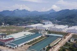 Quảng Ninh thành lập thêm cụm công nghiệp mới với tổng diện tích 69,44ha