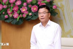 Phó Thủ tướng: Nâng cao vai trò của y học cổ truyền trong chăm sóc sức khỏe