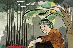 Bác Ba Phi kể chuyện miệt rừng giờ đã thành miệt ước mơ
