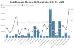 Xuất nhập khẩu vượt 432 tỷ USD nửa đầu năm 2025