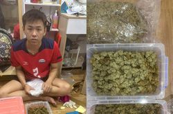 Bắt quả tang hai thanh niên mua bán cần sa qua dịch vụ 'shipper'