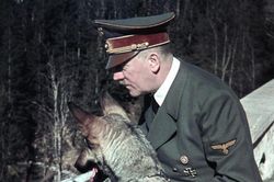 Cuộc sống đời thường của trùm phát xít Adolf Hitler - Kỳ cuối