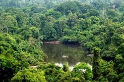 Quyết tâm mạnh mẽ của Brazil