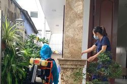 TP Huế có 12 trường hợp nhiễm liên cầu lợn, 1 người chết