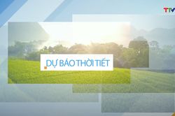 Dự báo thời tiết đêm 8 ngày 9/7/2025