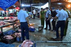 Toàn cảnh đường dây thịt lợn bệnh vừa bị triệt phá