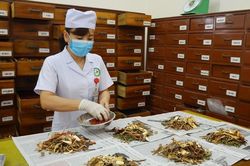 Vị thuốc cổ truyền phải công bố tiêu chuẩn chất lượng trước khi lưu hành