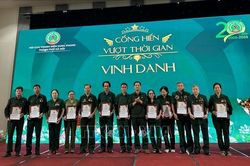 Phát huy vai trò của cựu thanh niên xung phong trong phát triển kinh tế - xã hội