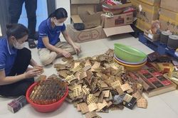 Tháng cao điểm chống buôn lậu, gian lận thương mại, hàng giả trong ngành Y tế TPHCM