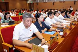Hà Nội yêu cầu chợ, cửa hàng tiện lợi không cung cấp miễn phí túi nilon từ 2027