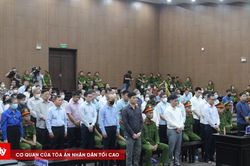 Chi tiết mức án của 41 bị cáo trong vụ án Tập đoàn Phúc Sơn