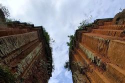 Những vệt đen biết thở