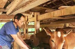 Cao Bằng: Giảm nghèo bền vững, hiệu quả từ những giải pháp đồng bộ, sát thực tiễn