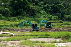 Vùng biên Nghệ An nỗ lực gượng dậy sau lũ quét, khôi phục sản xuất, ổn định cuộc sống